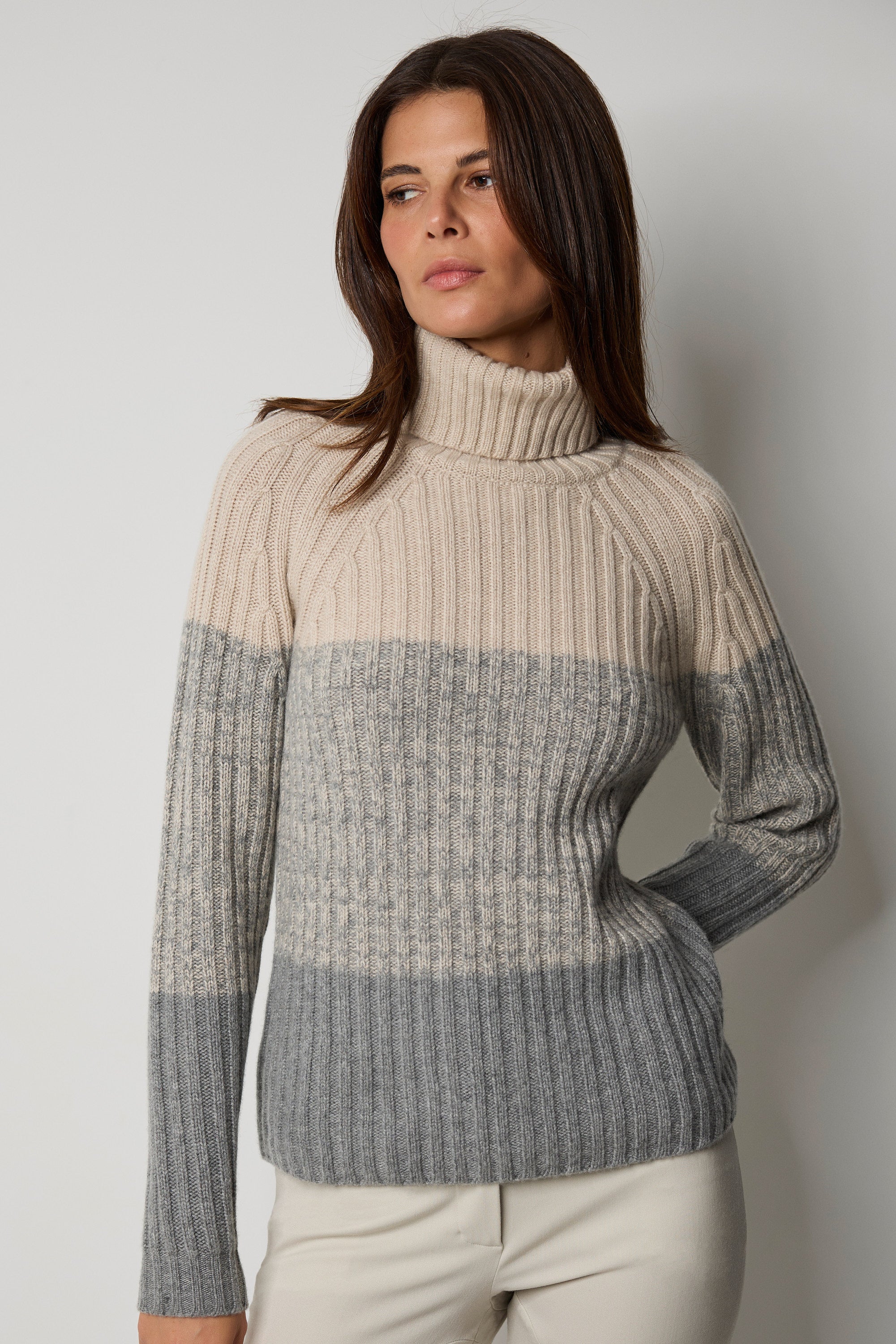 Pull à col roulé DÉGRADÉ